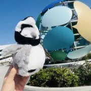 すぎな