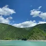 ぷりんぷり（取引メッセージ不要）