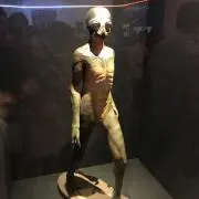 チルドレン