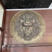 ライオンの画像