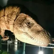 うっちー(*´∇｀*)