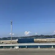 大福丸の画像