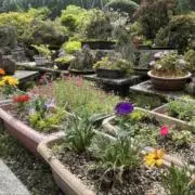 みこ☆の画像