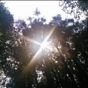 プロフィール見てご購入下さい。。。の画像