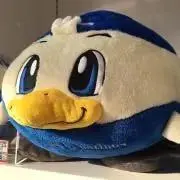 セースの画像
