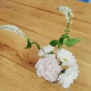 ぢゃみがの画像