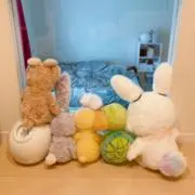 たにしの画像