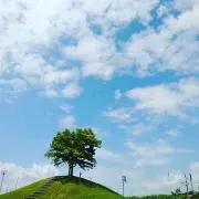 ハルの画像