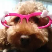 りょう(プロフご確認下さい)の画像