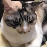 まるチャン