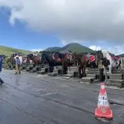 クレの画像