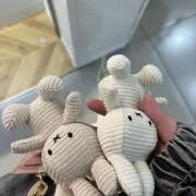 りうの画像