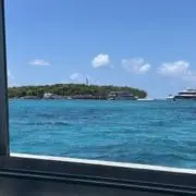 そうの画像