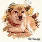 RPZの画像