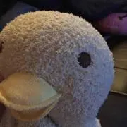 がーこ