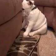 めるの画像