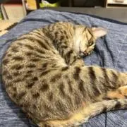 ちゅーた♡ 8/1～16まで郵送不可の画像