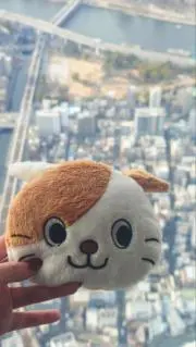 みるの画像