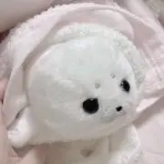 ᶻzの画像