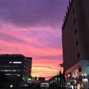 なんちゃん