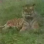 たけみかの画像