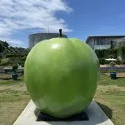 母の画像