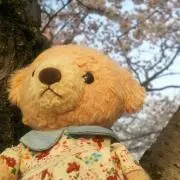 ひゃくまんどる