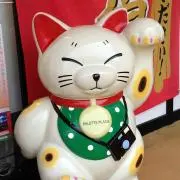 カサどん