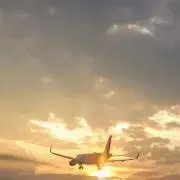 meyの画像