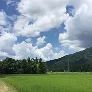 HEARTの画像