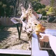 m☺︎s**