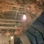 あおの画像