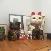 マリーの画像
