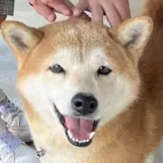 むさしのお母さん
