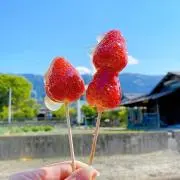 atkの画像