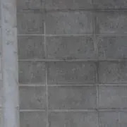 かんだにの画像