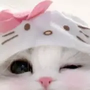 nyan.❤︎の画像