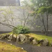 takoikayoの画像