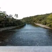 まさの画像