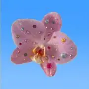 とろろ