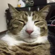 らむ