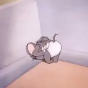 misakoの画像