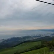 TAROの画像