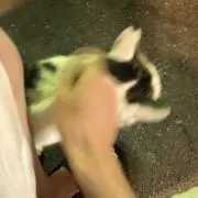あむの画像