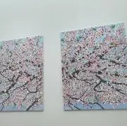 akaの画像