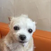 うじゅ