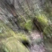 あぁーの画像