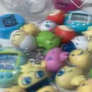 はかたの画像