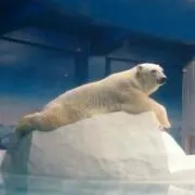 アンクルベン