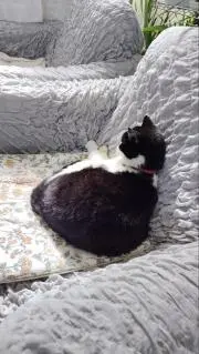 ちひろの画像